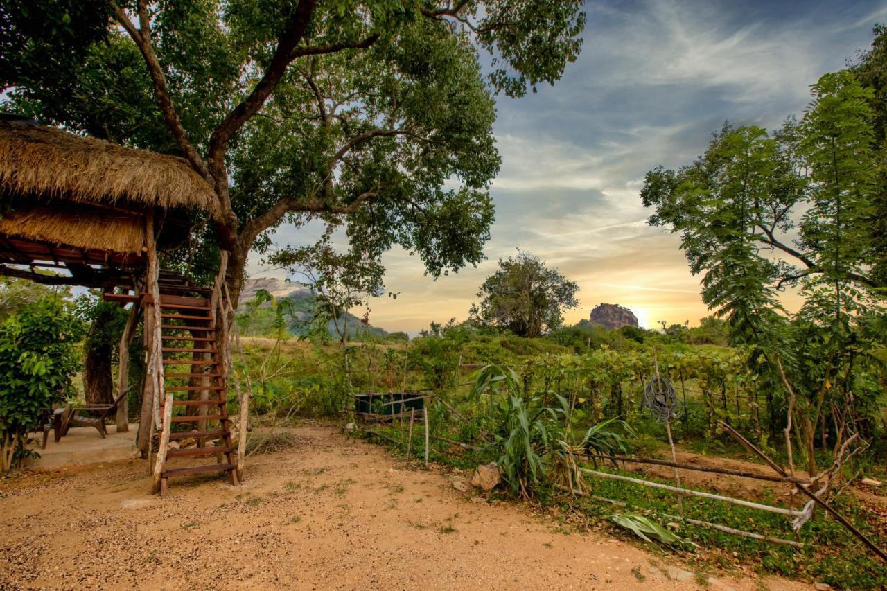 Sigiriya King'S Resort Esterno foto