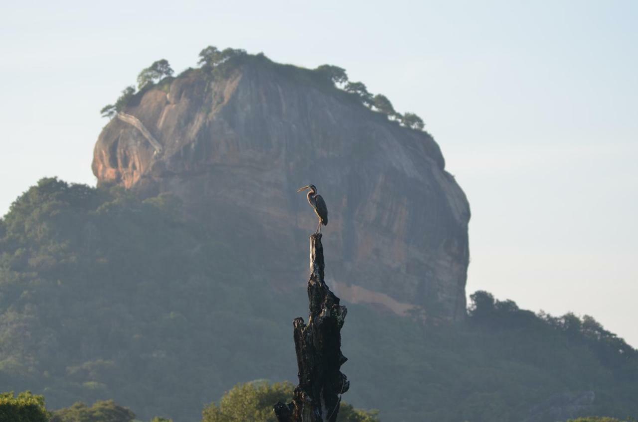 Sigiriya King'S Resort Esterno foto