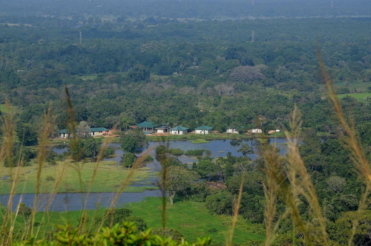 Sigiriya King'S Resort Esterno foto