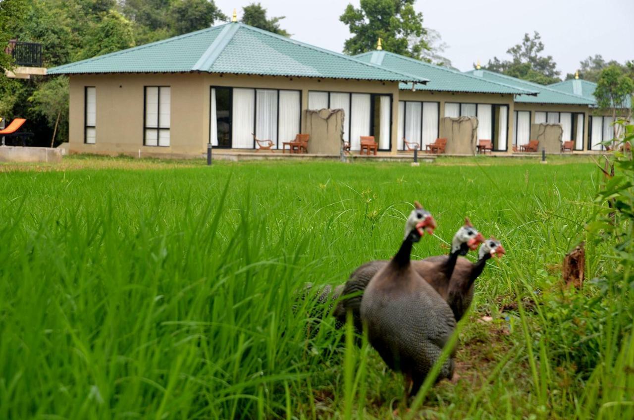 Sigiriya King'S Resort Esterno foto