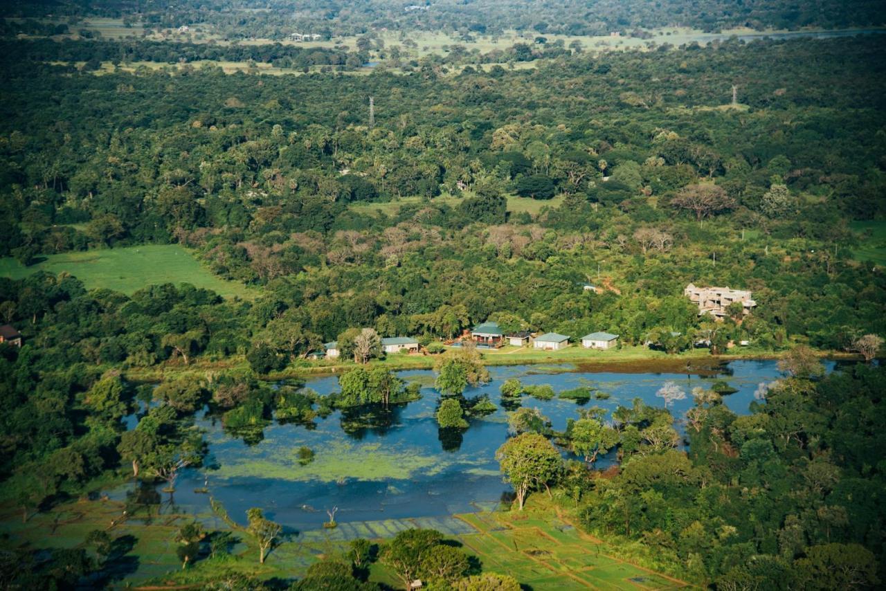 Sigiriya King'S Resort Esterno foto