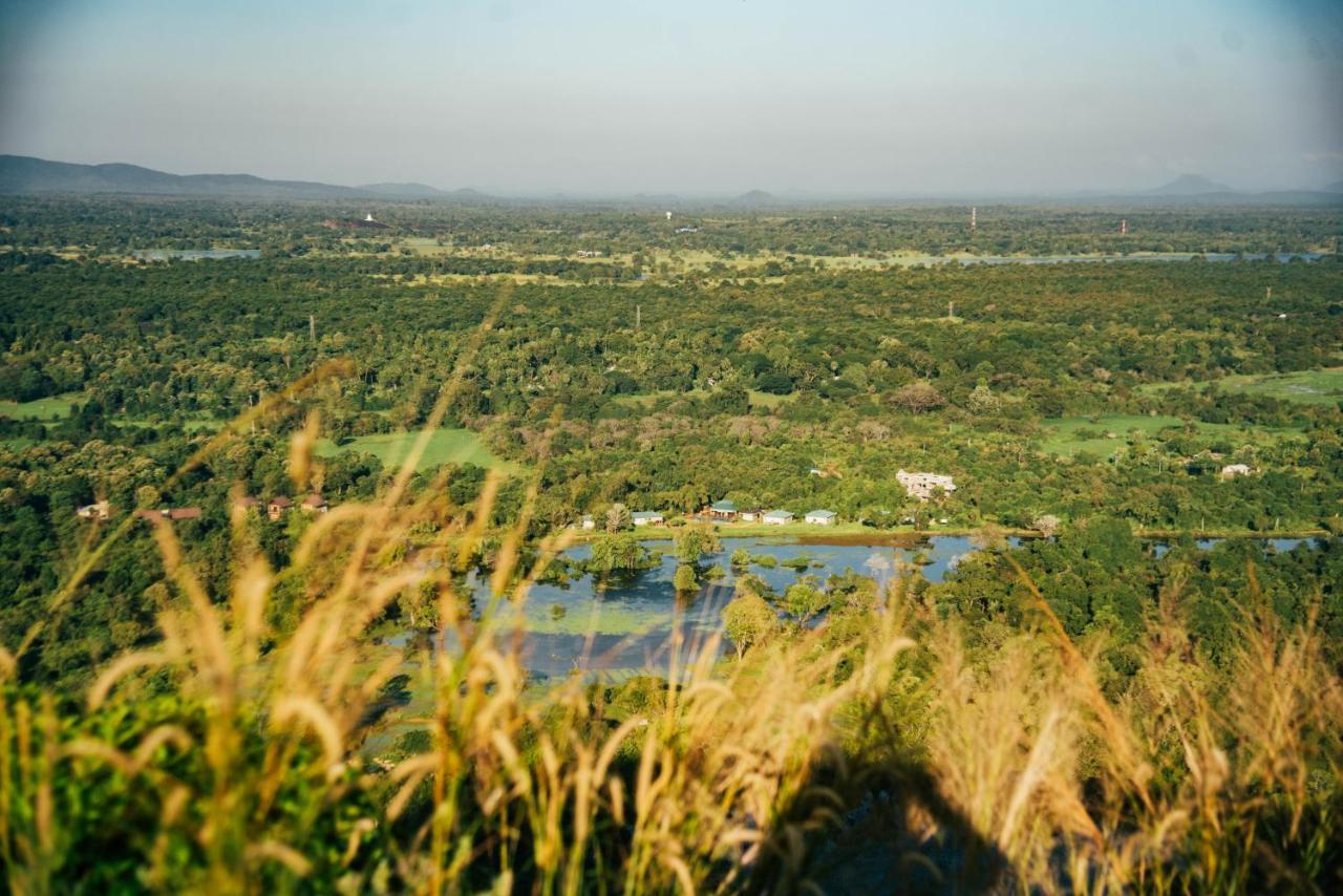 Sigiriya King'S Resort Esterno foto